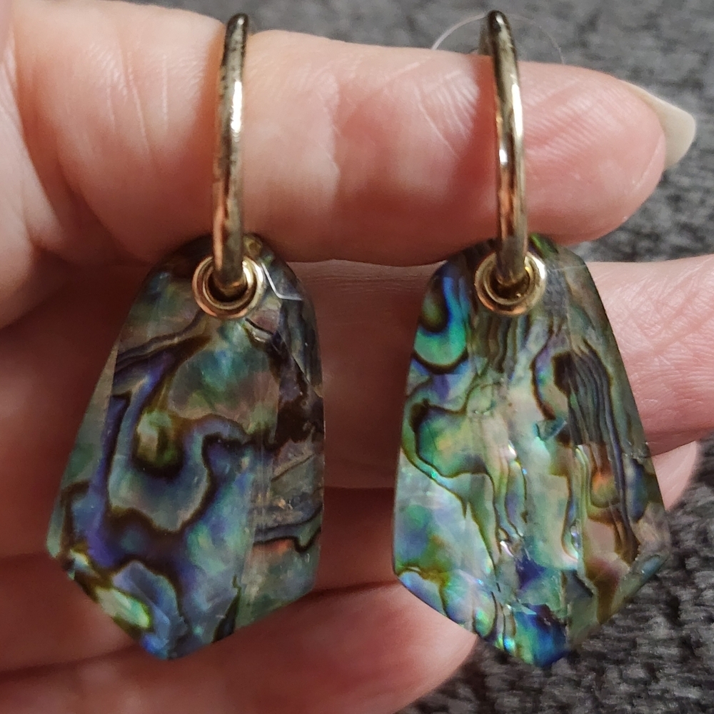 Abalone Shell Dangle Earrings - Picture 2 of 10